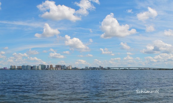 Schimmel Sarasota Scene Nov. 14