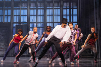 Van Wezel - MJ 13026