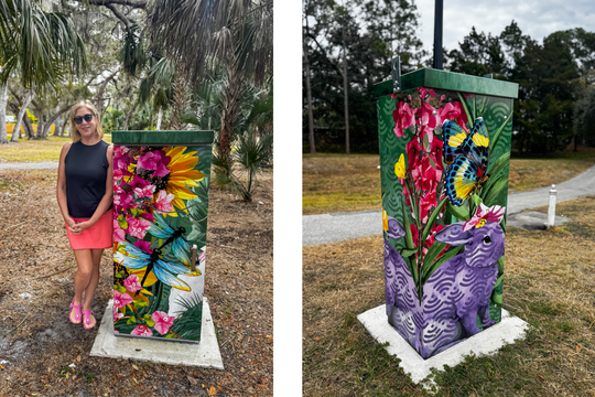 Arlington wi-fi box art grid