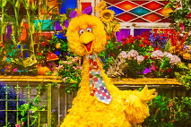 Van Wezel - Elmo 2026