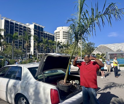 Tree giveaway 2025