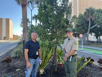 image of City and Florida Forest Service staff with tree