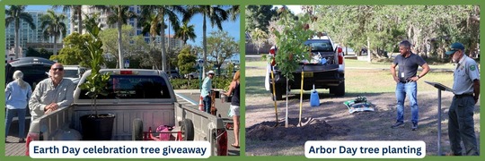Photo of resident with tree at giveaway and photo from Arbor Day ceremony