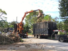 Storm debris pickup