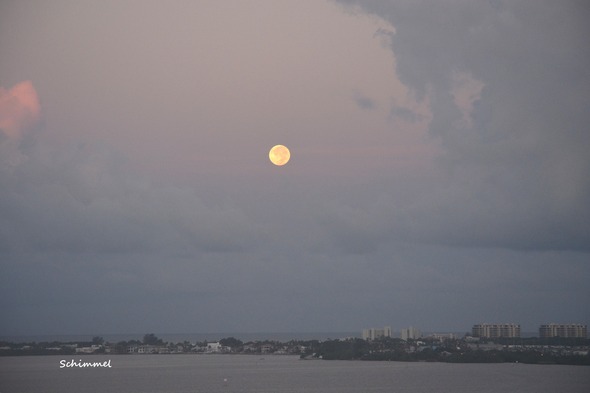 Schimmel moon over water
