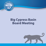Big Cypress Basin Board thumbnail 