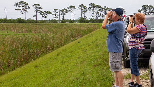 Inaugural C-44 Stormwater Treatment Area Birding Tour