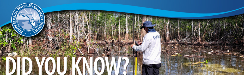 Public Service Recognition - SFWMD staff member in wetland area