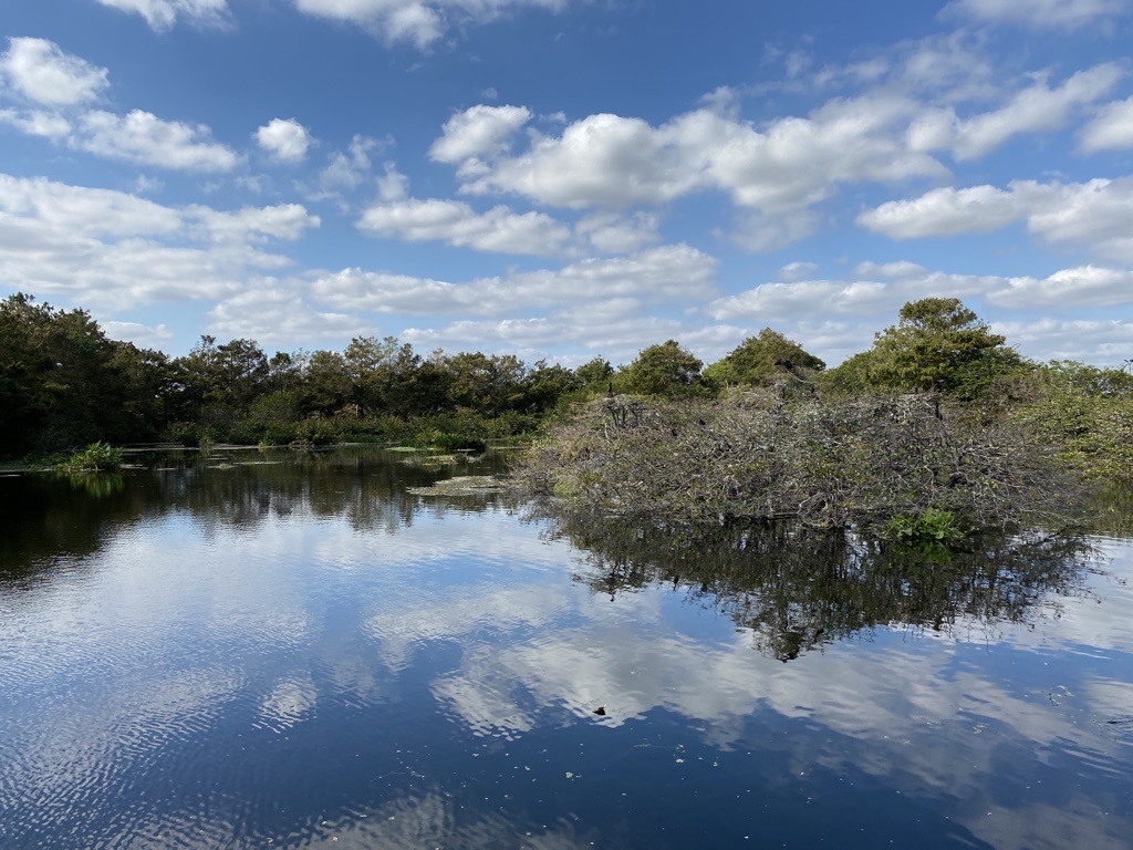 Wakodahatchee Wetlands