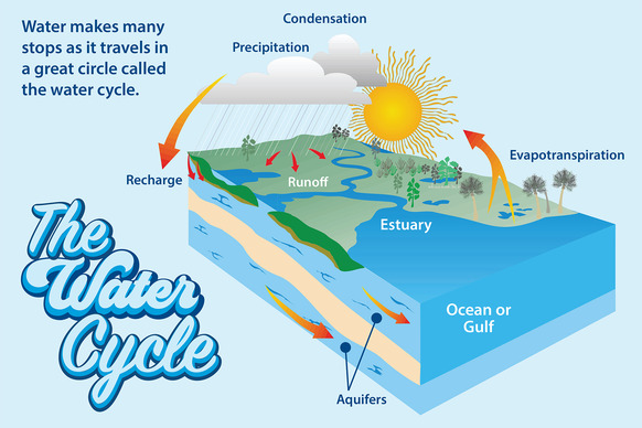 Water Cycle