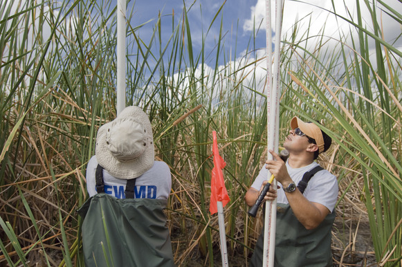 District staff in the field