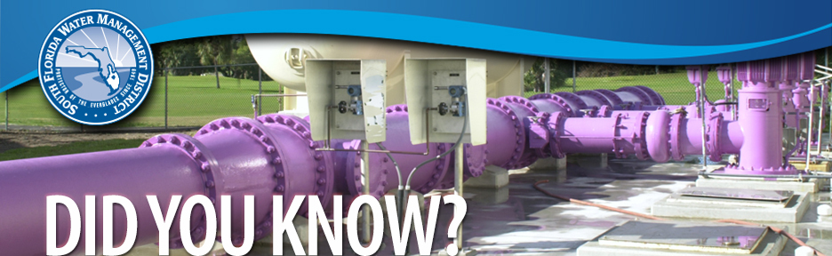 Purple reclaimed water pipes
