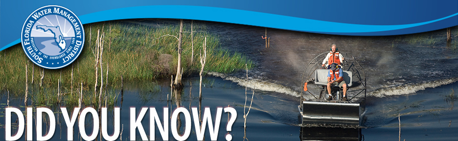 Loxahatchee Slough airboating to water quality monitoring station