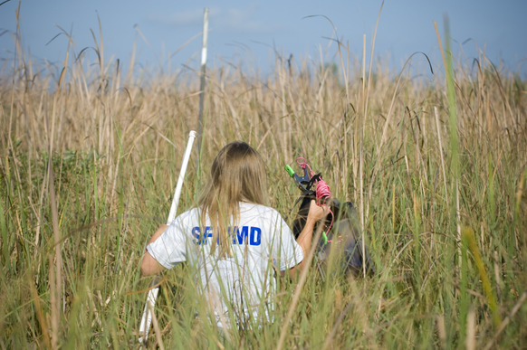 Staff member in the field