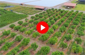 April CFWI 2026 Left