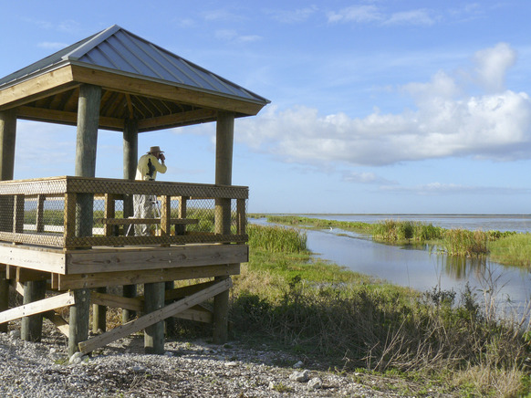 man looking out at an open recreational area