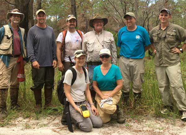 Wetlands monitoring Green Swamp