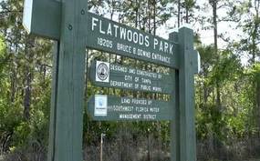 Flatwoods