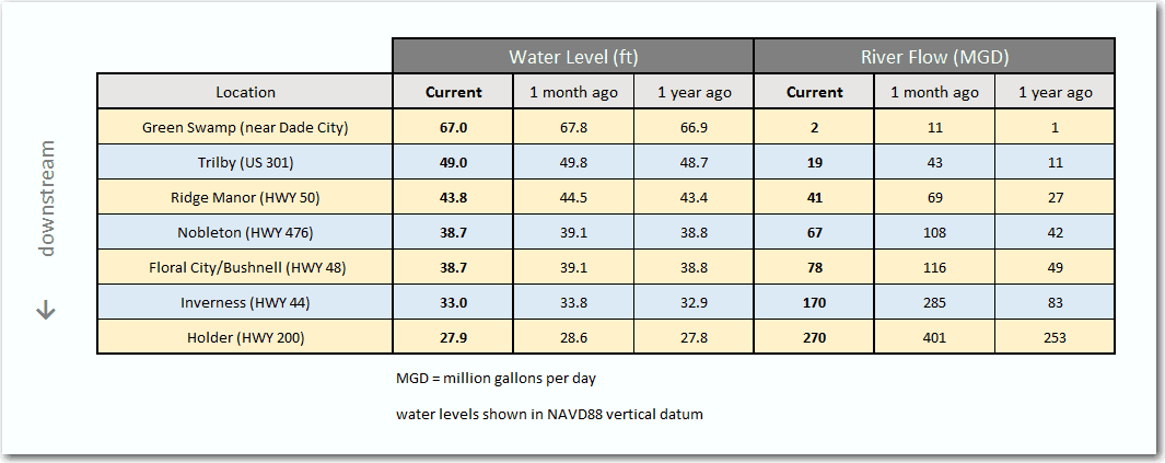 Withlacoochee River Update - 5/2/2019