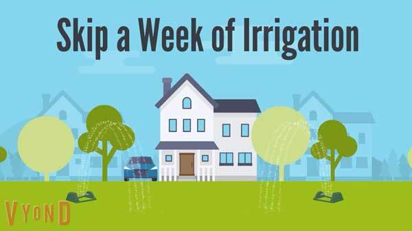 Skip a Week graphic
