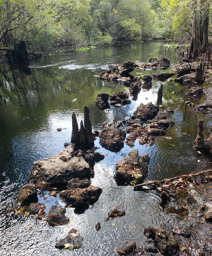 Withlacoochee River System Update 1/4/2021