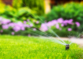 water conservation month