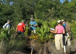 wetland monitoring