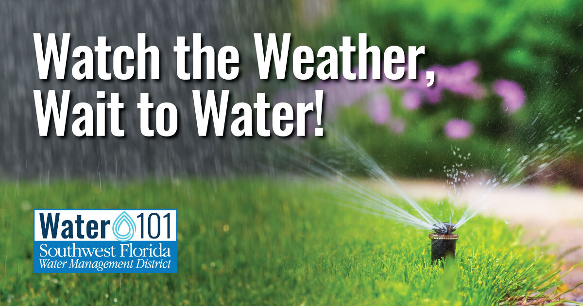 Watch the Weather, Wait to Water