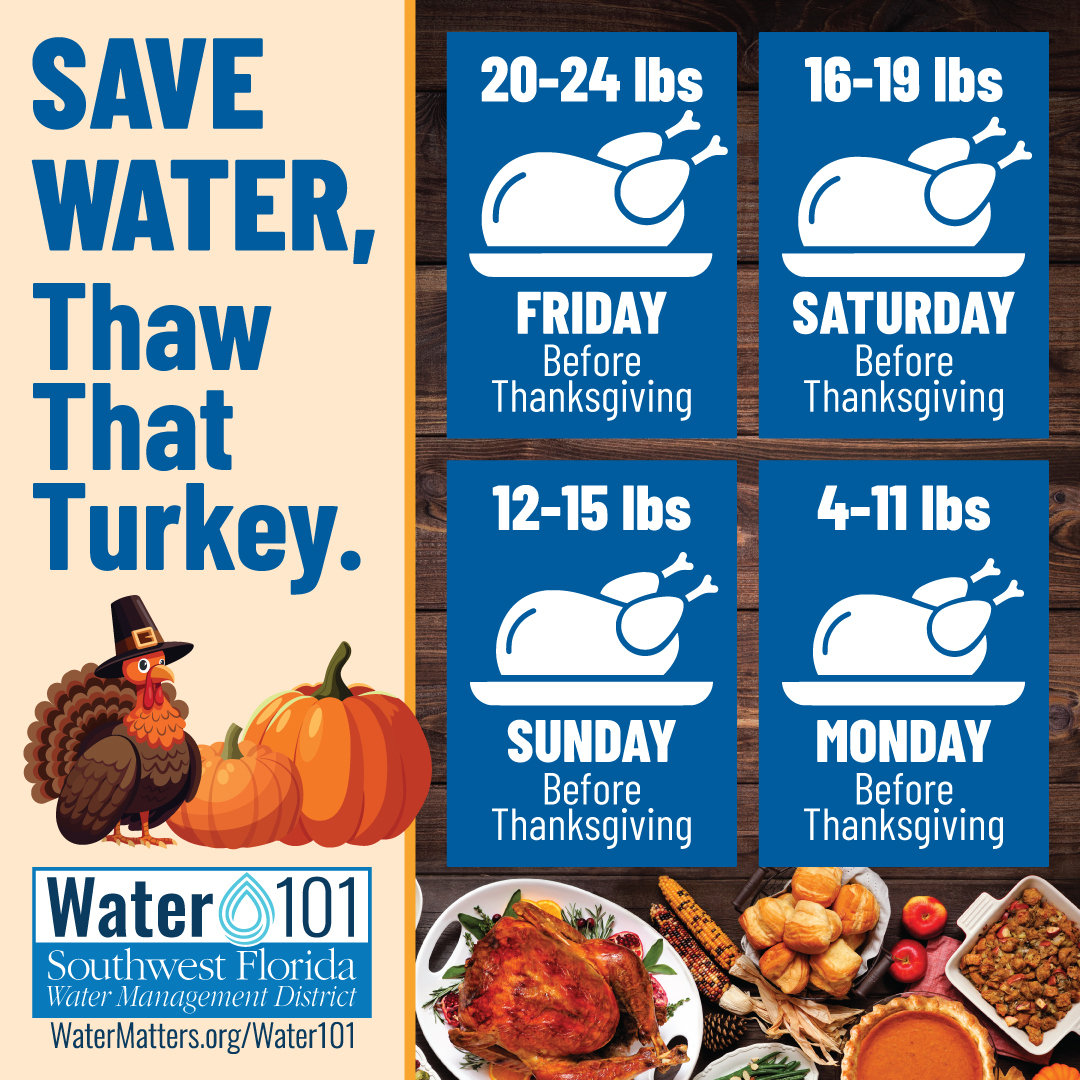 Turkey thawing tips