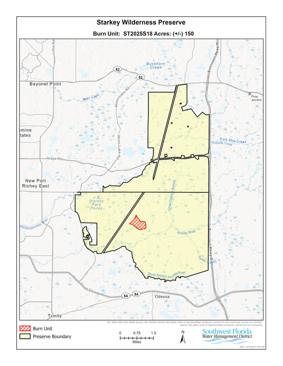 Starkey Wilderness Preserve in Pasco County