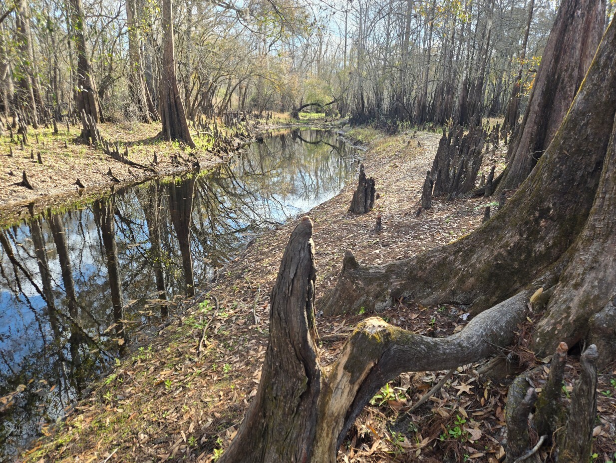 river photo