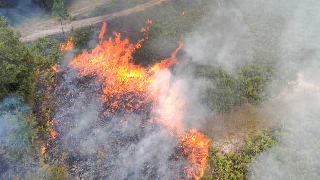 overhead view of brush fire