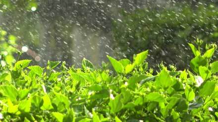 water drops on grass