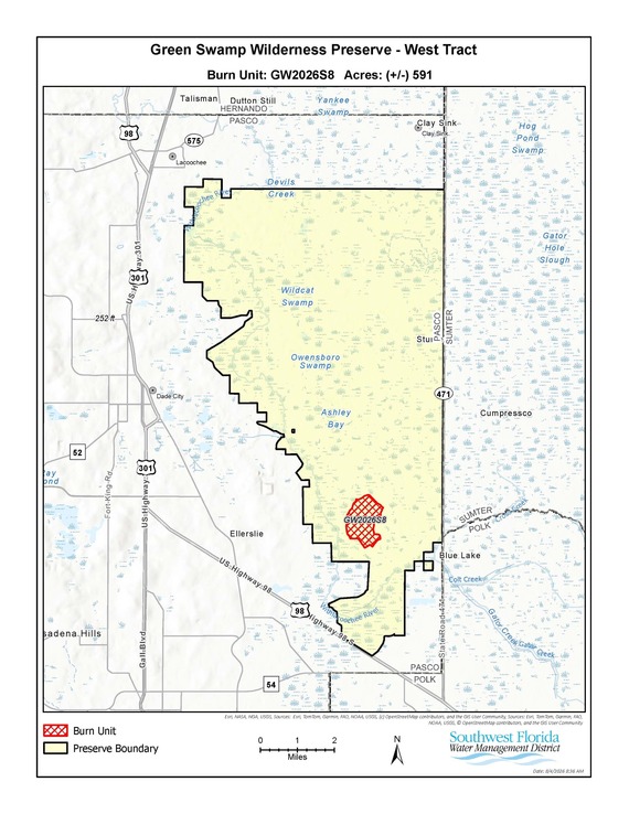 burn area