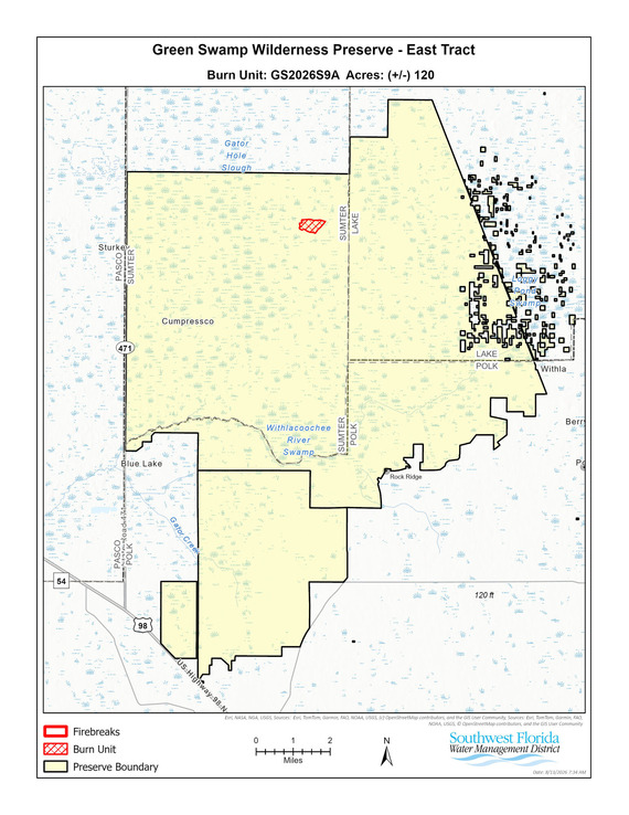 burn area