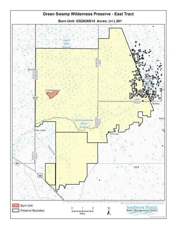 area of burn