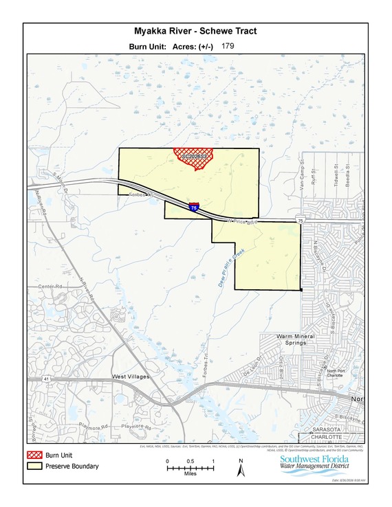 burn area