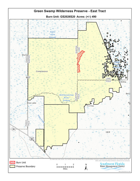 burn area