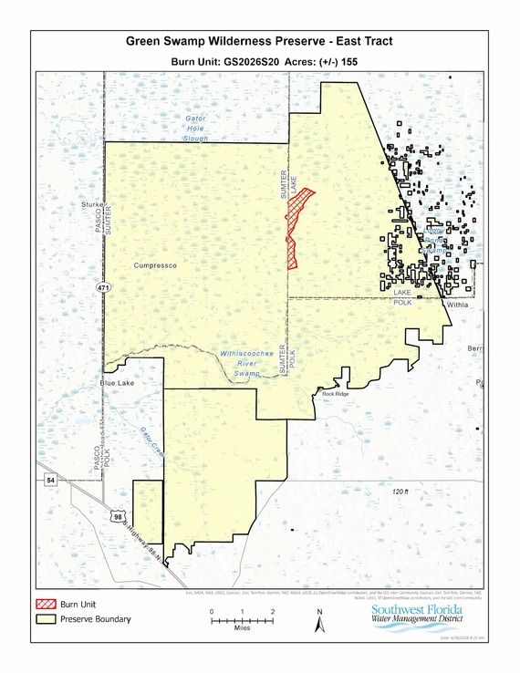 burn area