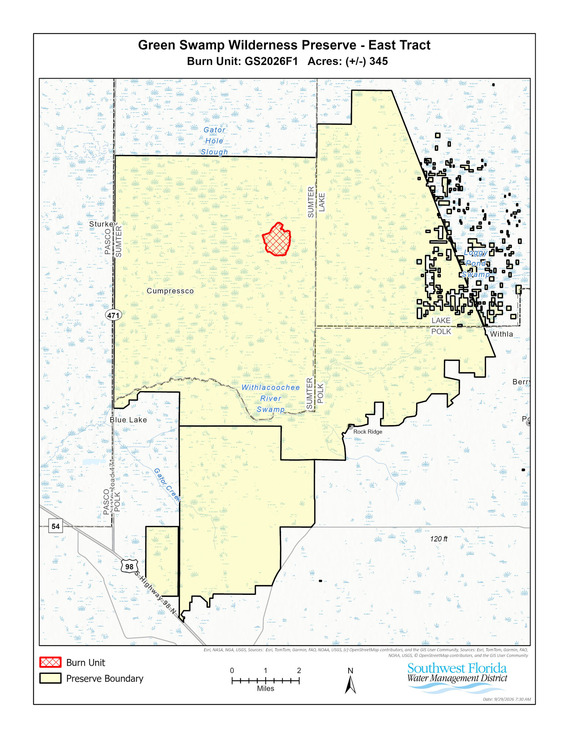 burn area