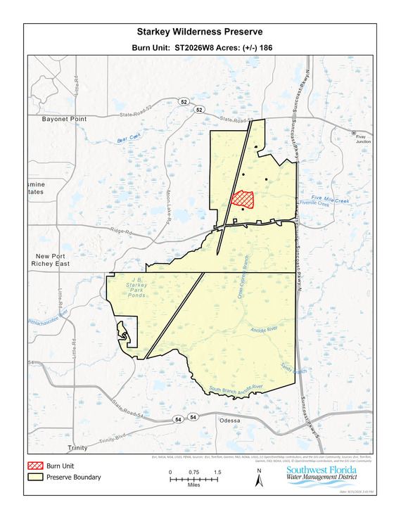 burn area