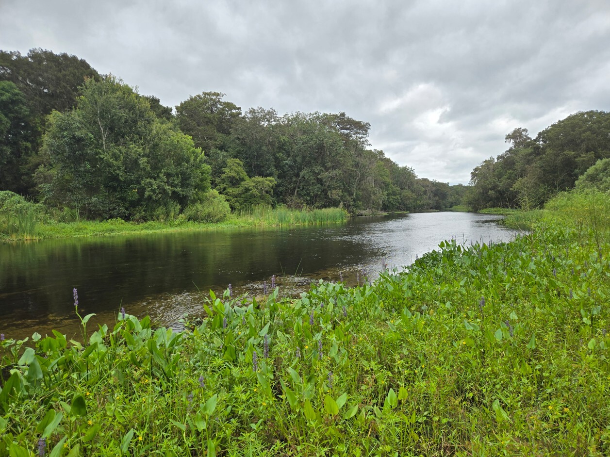null river photo