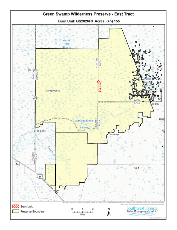 burn area