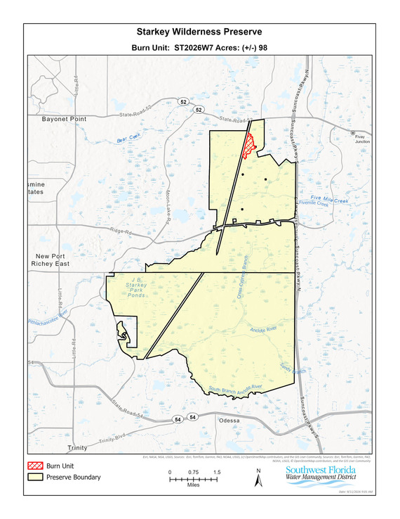 burn area