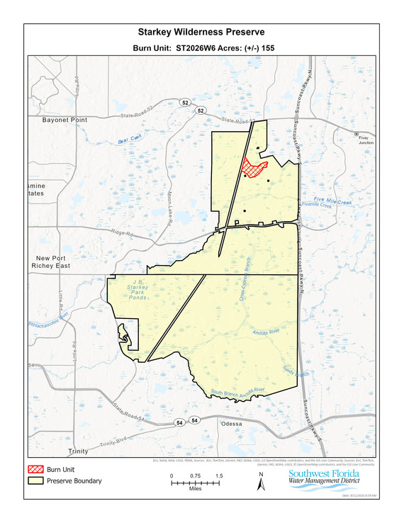 burn area