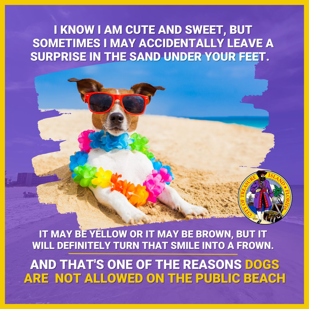 No dogs allowed on public beaches