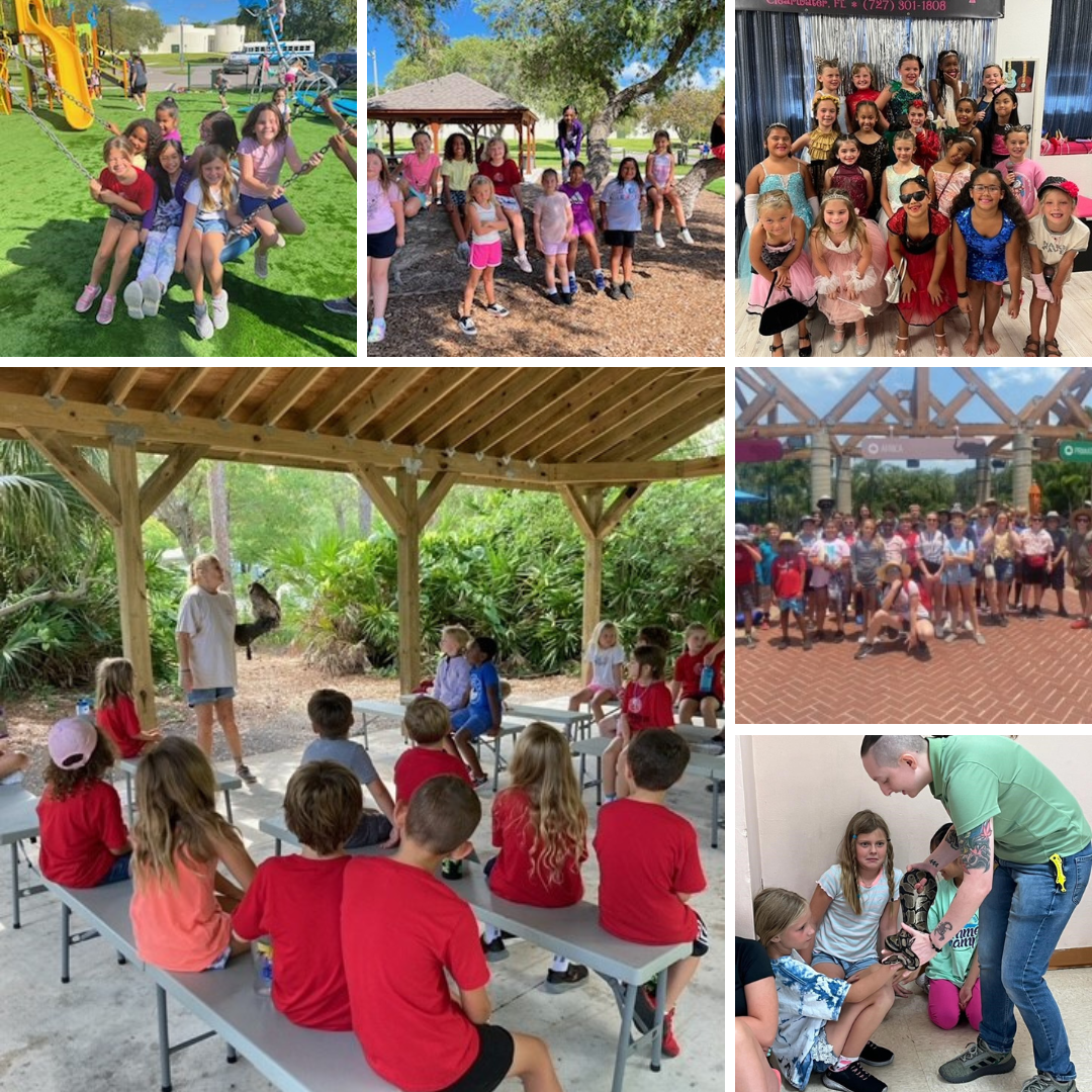 Treasure Island Summer Camp Collage