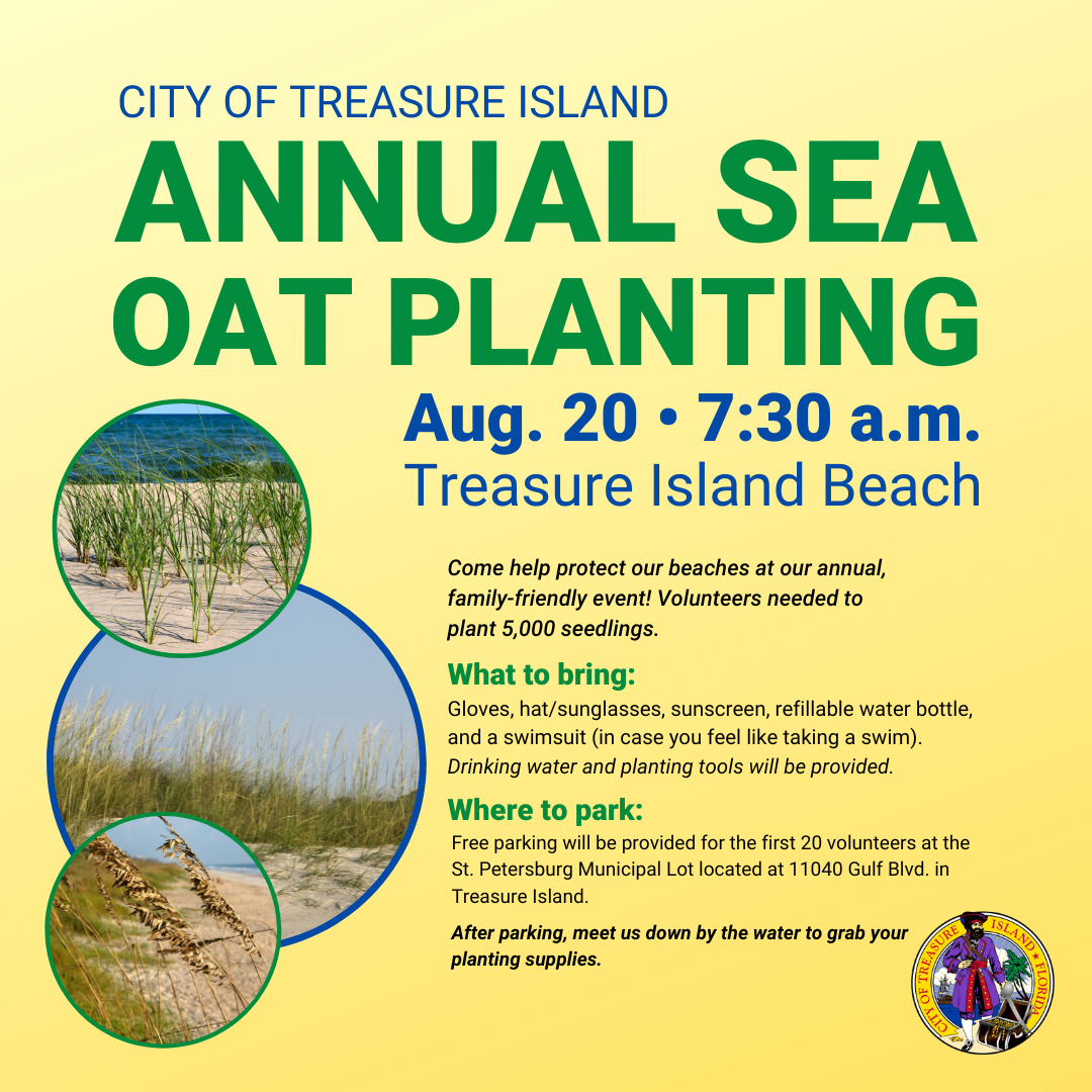 Annual sea oat planting on Treasure Island Beach