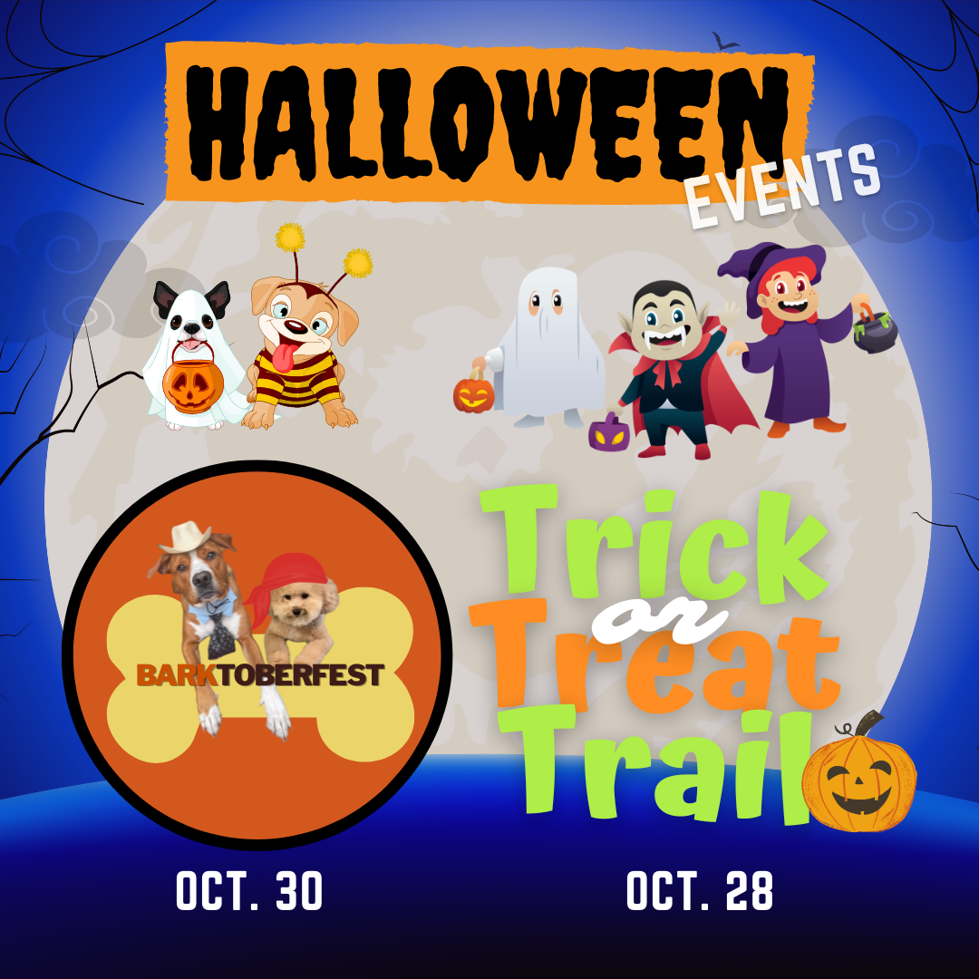 Halloween Events Happening in Treasure Island