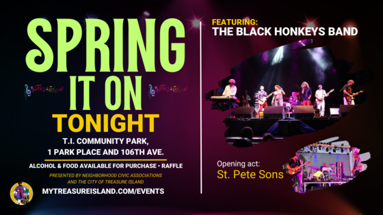Spring It On Music in The Park